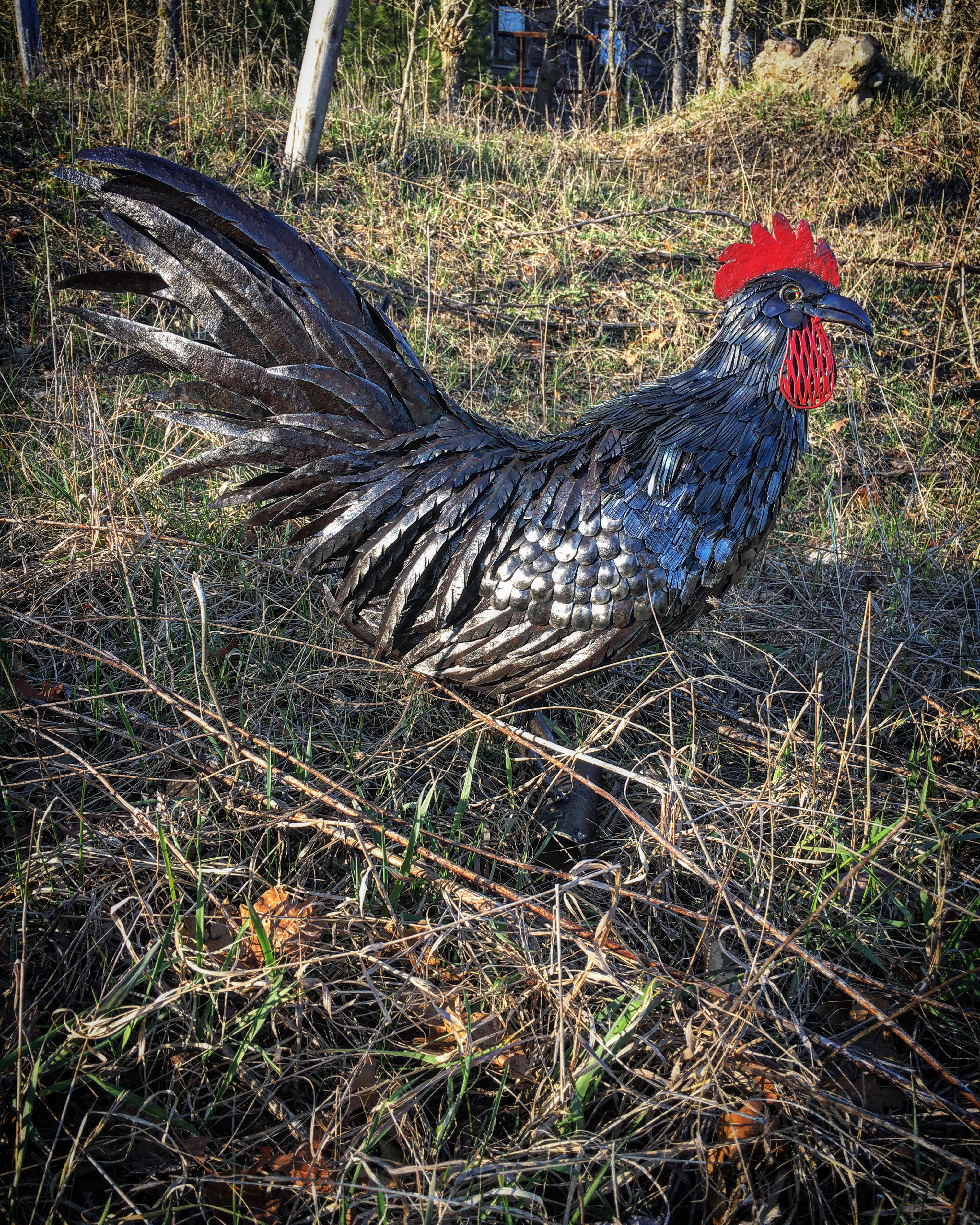 rooster art in grass